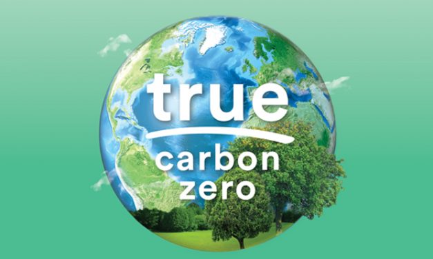 Lenzing turns commitment into action and launches carbon-zero TENCEL™ branded fibers