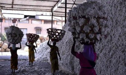Guarantor for `1500-cr loan of cotton body by Maharashtra Govt.