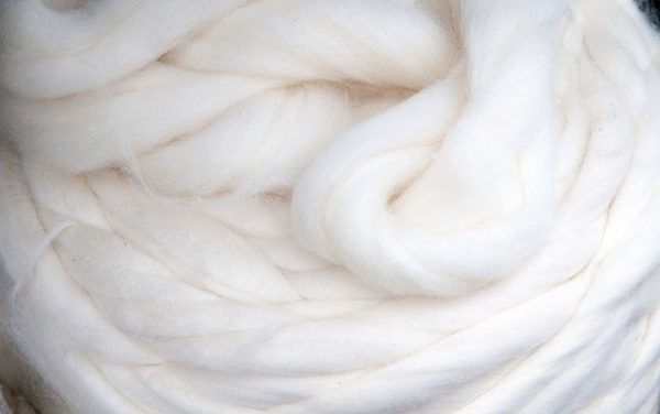NCTC appeals to PM for the removal of Anti-Dumping Duty on Viscose Staple Fibre (VSF)