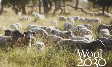 The Australian Wool Innovation unveils Wool 2030 strategy