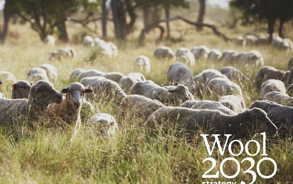 The Australian Wool Innovation unveils Wool 2030 strategy