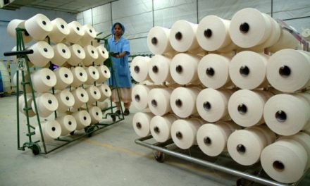 This year is providing an optimistic picture for cotton and textiles sectors