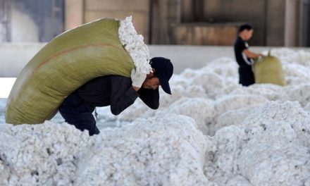 China’s cotton imports rise 16.8 percent in 2020