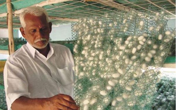 Indian Govt. looking to become self-reliant in silk sector in next two years