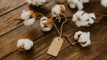 Israeli Cotton Board trials tracing technology 