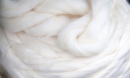 Textile industry faces acute shortage of VSF and ELS cotton