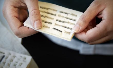 Swedish institute develops conductive cellulosic yarns