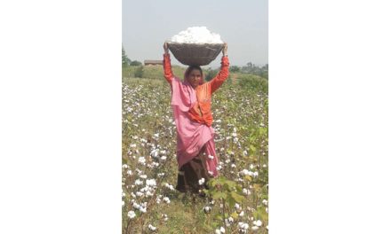 DBS launches an organic cotton procurement financing pilot programme in India