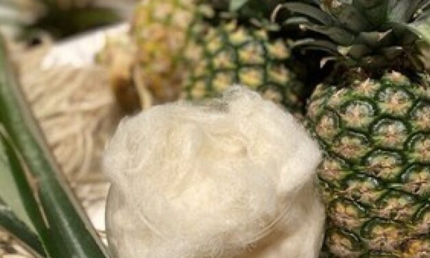 Nextevo launches sustainable fibers made from agricultural waste