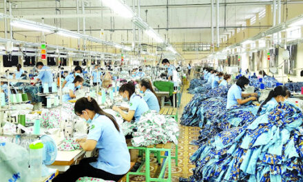 Observation of Vietnam growth against the trend