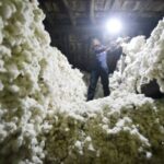 Industry demands removal of import duty on cotton: India Budget 2022-23