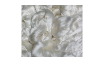 Sweden’s Renewcell uses Circulose dissolving pulp in viscose filament yarn production