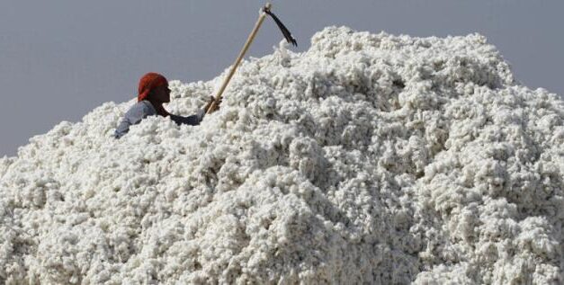 TEA sends SOS to Hon’ble Textile Minister for removal of cotton import duty
