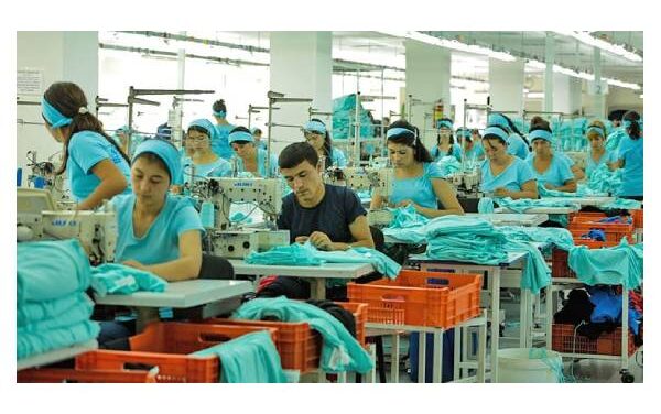 Subsidies, loans will be offered to Uzbek textile, clothing, and knitwear firms