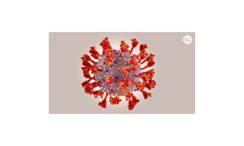 Future business expectations largely unchanged despite Omicron