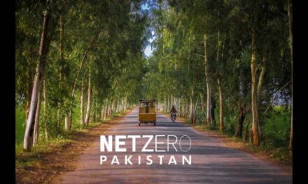Net Zero Pakistan becomes first regional alliance recognized by UN