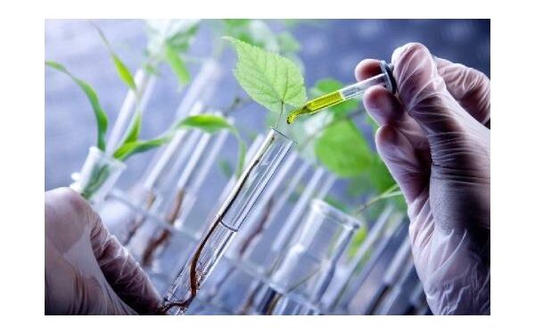 India’s Telangana State, will establish a cotton research centre in Adilabad