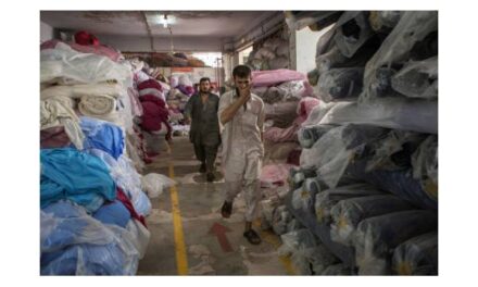 Pakistan’s textile and apparel exports grew by 24.73 percent in July-January FY 2012