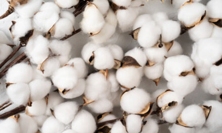 Make cotton stock declaration mandatory and allow duty free import of 40 lakh bales of cotton