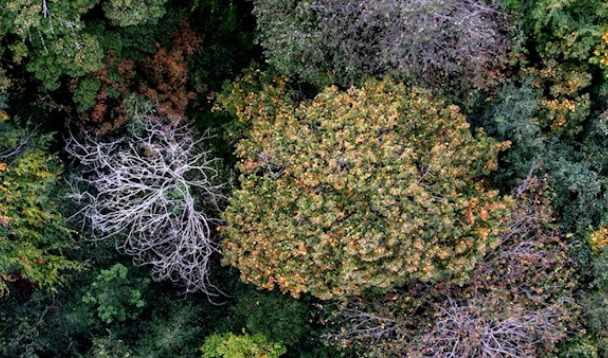 Coats has released their Sustainability Report for 2021