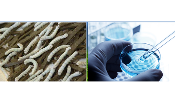 The screening technology developed by Kraig Labs