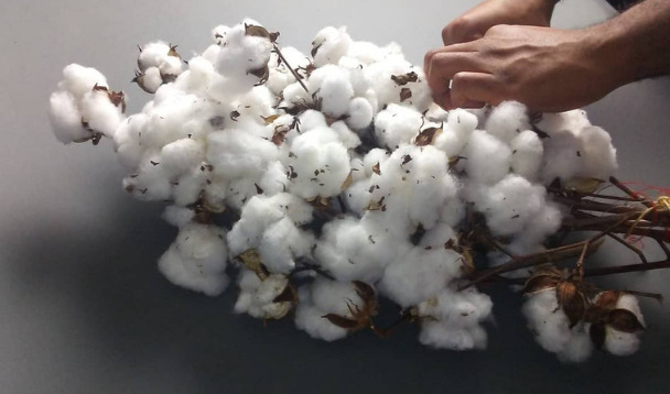 Duty free import of raw cotton to push exports of value-added cotton textile