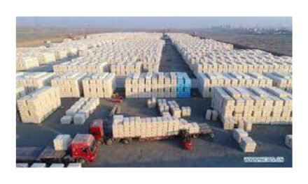 The situation in the cotton logistics industry around the world is improving: ICAC