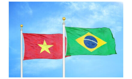 Vietnam-Brazil trade turnover $6.35 bn in 2021, $1.7 bn in the first quarter of 2022