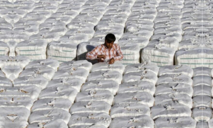 The Govt. may halt cotton shipments until September as last resort
