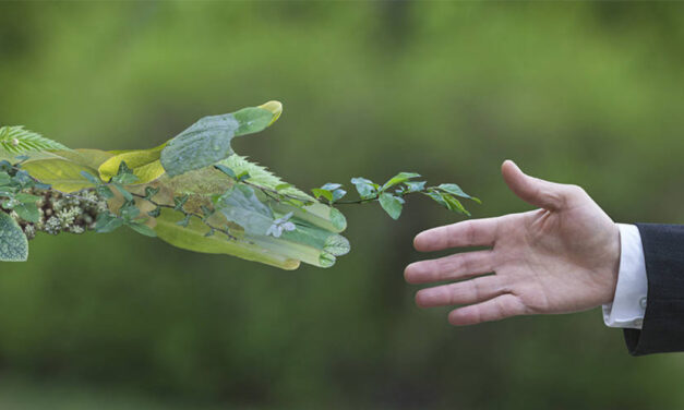 Global retailers and textile associations collaborate to promote sustainability