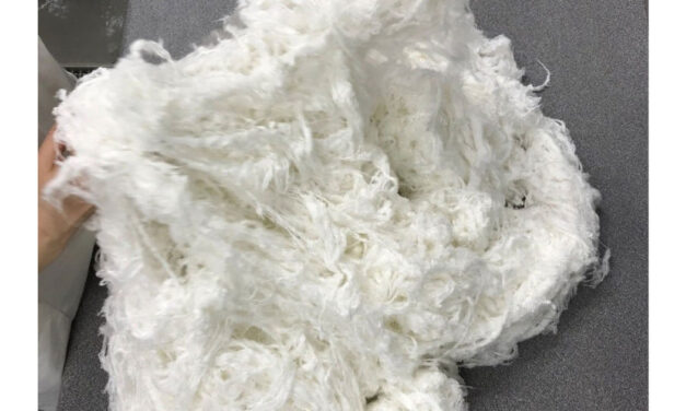 Collaboration agreement signed with Paradise Textiles for development of Nullarbor™ yarns and textiles