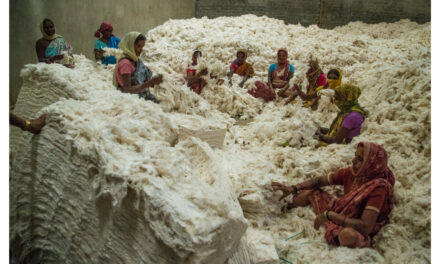 New agreements will help Primark develop its sustainable cotton initiative