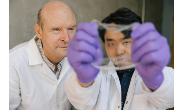 Sensors made of hydrogel that can be used in clothing