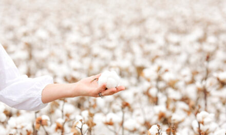 Delight Group will optimise and verify Good Earth Cotton manufacturing in India