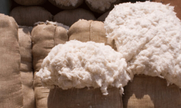 Export target likely to be missed amid rise in cotton prices