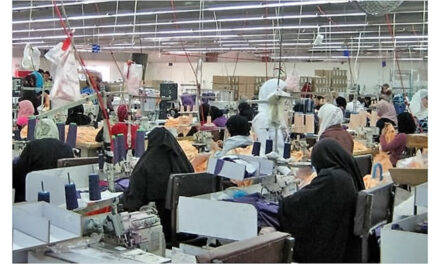 Brazil and Egypt to increase trade in textiles and other industries