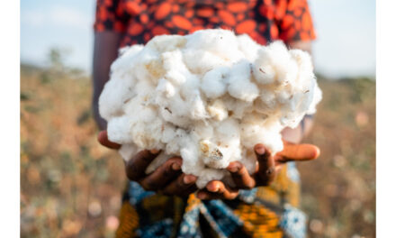 Government procurement of cotton may remain slow