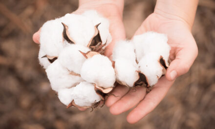 Concerns about economy grip cotton users