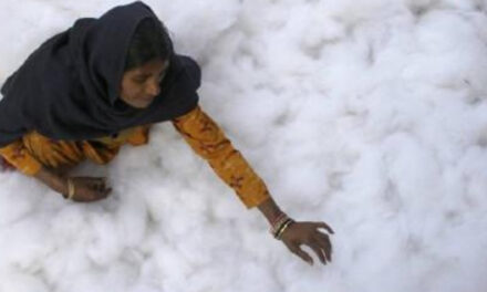 Cotton prices started sliding – SIMA hails intervention of Union Textile Minister