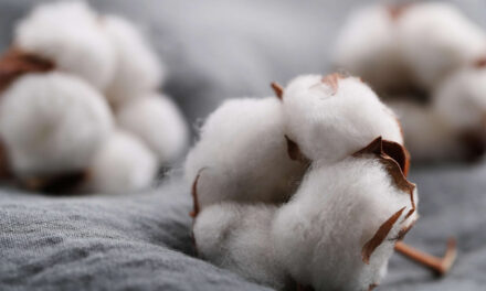 Economic uncertainty has direct influence on the demand of cotton and textiles