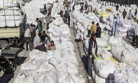 Indian industry body calls for expansion of duty-free cotton imports
