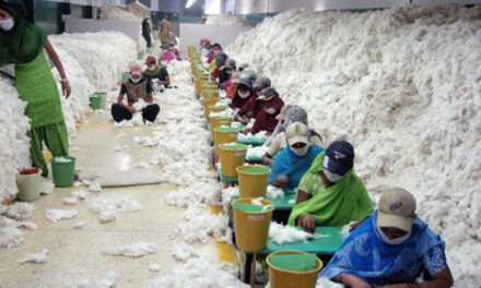 Textile industry in Tamil Nadu may reduce cotton procurement