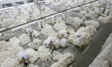 US ban on Xinjiang cotton has caused China’s yarn exports to decline