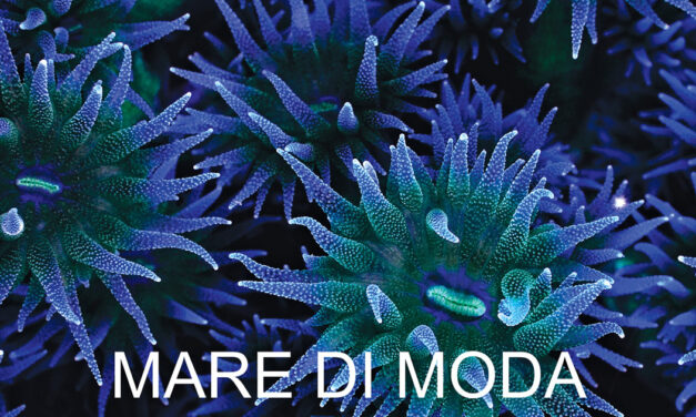 Mare Di Moda Trends Season 2024