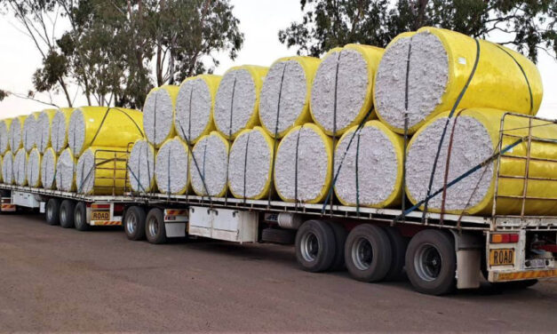 The Indian Govt. allows duty-free import of 51.4K MT ELS cotton from Australia