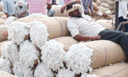 Compulsory certification for Indian cotton; Minister approves QCO