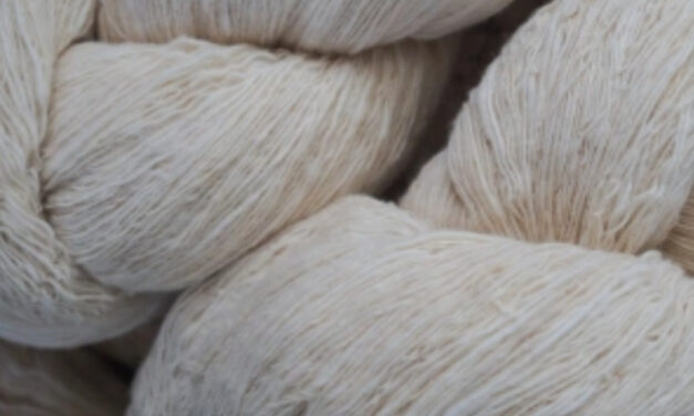 Cotton yarn prices stable in South India, optimism prevails in Tiruppur