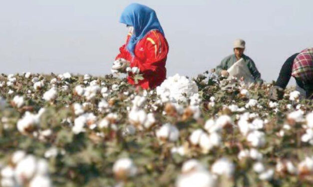 Local production of cotton in Pakistan is facing a shortfall of 2.5 mn bales