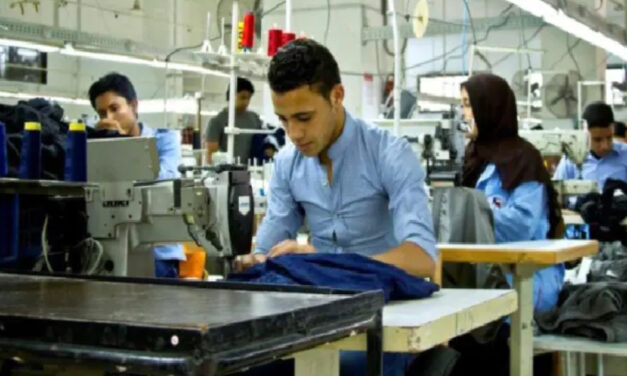 Import of Turkish apparel and fabric from Egypt increased
