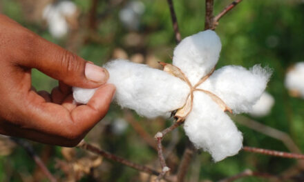 SIMA appeals Finance Minister to exempt cotton from 11 percent import duty to tide over the crisis